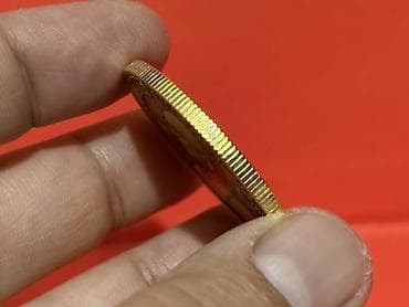 2025 il, Vəziyyəti: Əla — 4