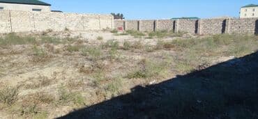 ferma icarəyə verilir: 6 sot, Tikinti, Bələdiyyə — 4