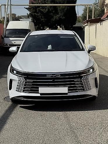 BYD Qin Plus: 1.5 l | 2024 il 50000 km Sedan