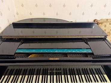 Seiler Mini royal satilir.Uzunu bir metr eni bir əlli.Tam işlək lalafo.az -da Seiler Mini royal satilir.Uzunu bir metr eni bir əlli.Tam işlək