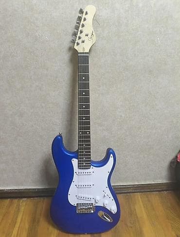 Elektron gitara, 6 sim