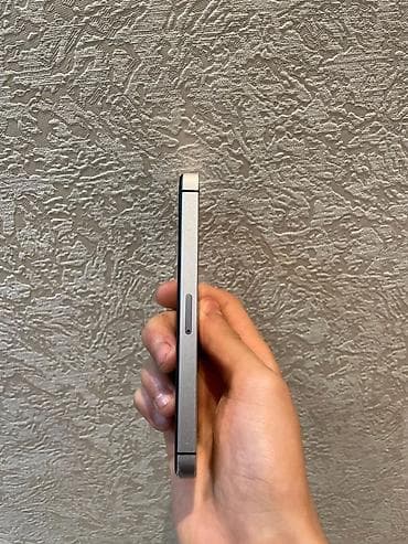 iphone 5s telefon: IPhone SE, 32 GB, Gümüşü — 6