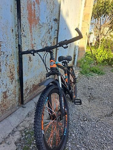 velsopet 24: STRIM X-500 dağ velosipedi - Çərçivə: yüngül alaşımlı polad, idman — 1