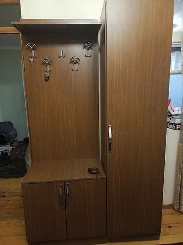 1 qapı, Qəhvəyi, Digər material, Açılan, Düz dolab