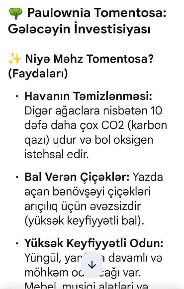 etotu bitkisi: Paulownia Tomentosa toxumları – premium sort Məhsul: - Paket: zipli — 10