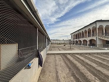 cicek qesebesinde torpaq: Satılır: Həyətyanı obyektli iki mərtəbəli geniş villa və təsərrüfat — 7