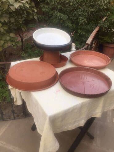 rozmarin bitkisi qiymeti: Dibçəklər üçün altlıqlar Hündürlük: 5 sm Diametr: 35 sm — 2