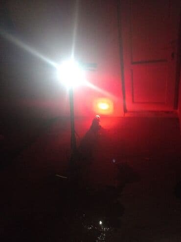 2 cı el elektrikli scooter: Elektrik skuter - Rəqəmsal LED displey: sürət km/saat ilə göstərilir — 4