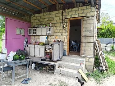 basavik satisi: Kənd təsərrüfatı — 5