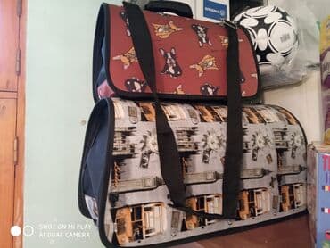 купить собак: Ucuz təcili İtlər ücün canta gəzdirməyə və harasa özünüzlə aparmağa — 1