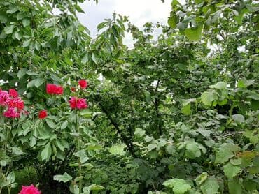 продажа недвижимости без посредников: Баку, 1 м², 5 комнат — 8