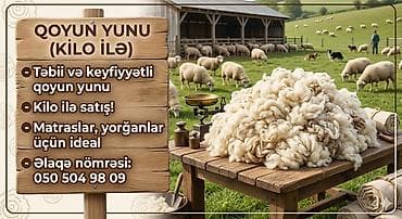 polis forması sekilleri: Məhsul: Qoyun yunu (kilo ilə) - Təbii və keyfiyyətli qoyun yunu - — 1