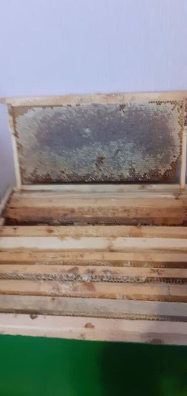 дистиллированная вода баку: Zakatala cöke bali ve akasia bali mesulumuz bol olduğuna göre aşaği — 5