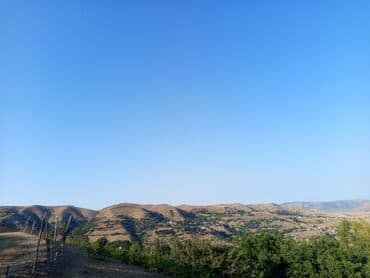 Salam administrator veya idarə edici işi axtarıram sadliğ sarayında