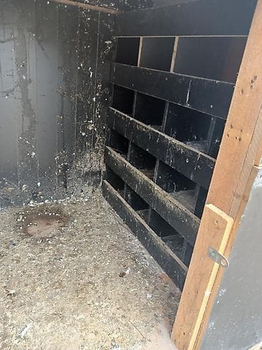 toyuq korlugu nedir: Taxta və metal dam örtüklü quşxana/saxlama daxması - Korpus: qalın — 4