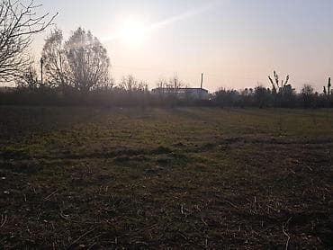 cefer xendan kucesi: 25 sot, Mülkiyyətçi — 4