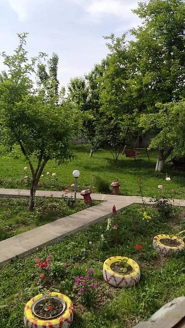 sarayda ucuz torpaq: 200 kv. m, 4 otaqlı, Qaz, İşıq, Su — 3