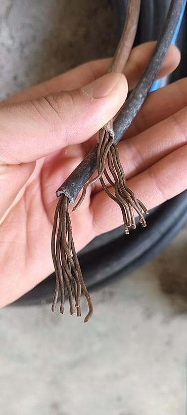 mis caynik: Yeni, Kabel, Mis — 1