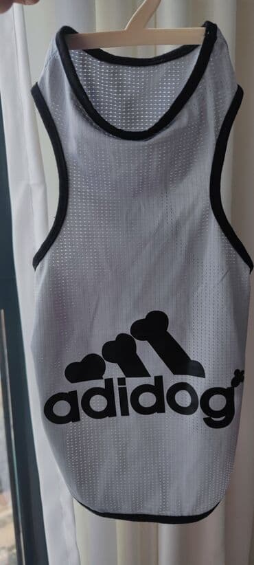 переноска для кошек баку: It geymi.yenidir.25 azne almiwam.eynine olmadi — 7