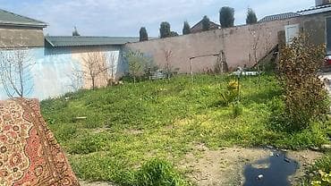 Biznes üçün, İşıq