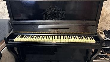 Piano, Belarus, Akustik, İşlənmiş