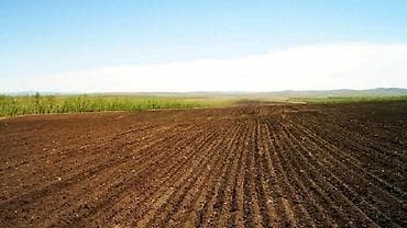 gence torpaq sahesi: Kənd təsərrüfatı — 1