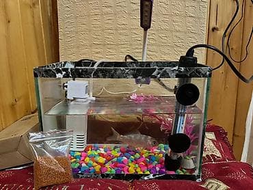Dördbucaq akvarium, Balıqlarla birlikdə, 10 l, Ödənişli çatdırılma