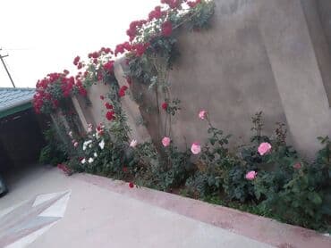 kənd əhmədli həyət evləri: 5 otaqlı, 176 kv. m, Yeni təmirli — 17