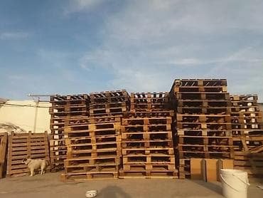 lan: Pallet, 800 х 1200 sm — 1