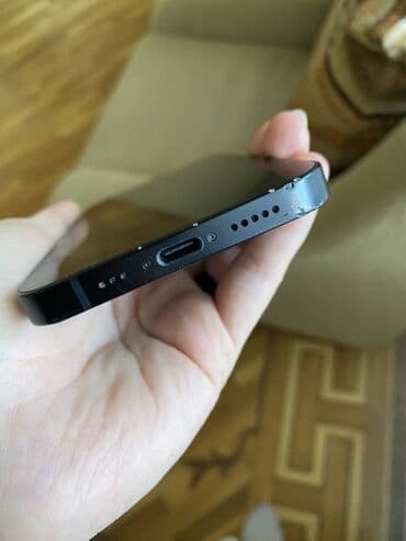 Hoffmann: IPhone 16e, Qara — 6