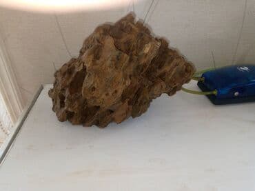 arpa toxumu satışı: Tecili dekor daş satılır endirimde edecem isteyen yıxa biler cox vaxdı — 2