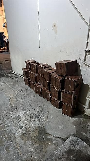 Papuqay yuvası hamisi 30 M el isidi