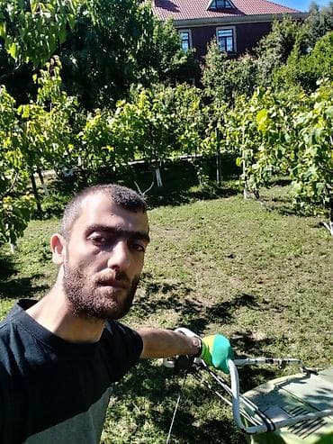 televizor ekran temiri: Bağban isdyen zeg edə bilər Ayle — 1
