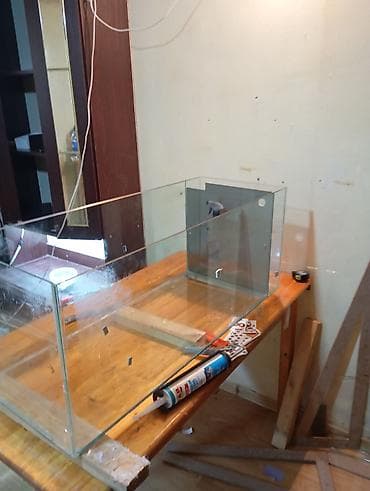 akvarium gence: Dördbucaq akvarium, Boş, 152 l, Ünvandan götürmə, Ödənişli çatdırılma — 2