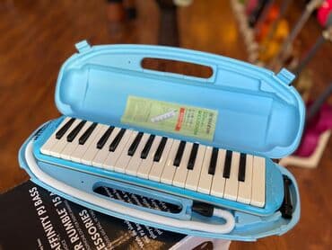 ucuz sıntezatorlar: Melodika — 1