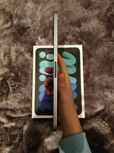 Apple iPad: Apple iPad mini (A17 Pro) Wi‑Fi — 128 GB, Space Gray,barter var 99%pil — 6