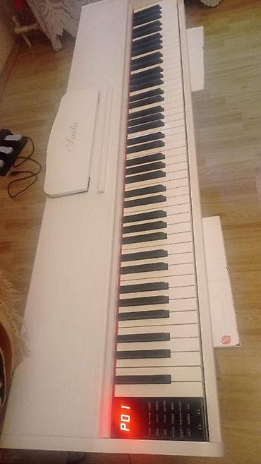 pa3x pro: Piano, Rəqəmsal, Yeni, Ünvandan götürmə, Ödənişli çatdırılma — 4