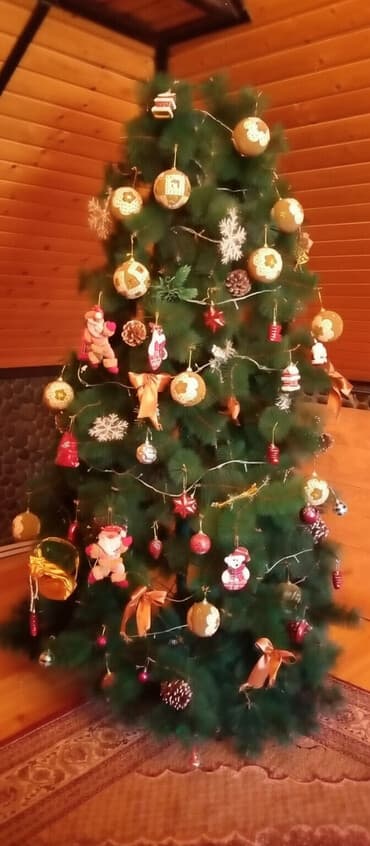 agac: 3 metr yolka, oyuncaqsiz satilir, eve boyukdur deye lap baş hisseni — 1