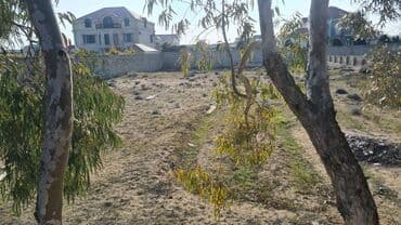 5 sot nece metrdir: 60 sot, Tikinti, Makler, Kupça (Çıxarış) — 4