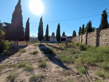 sabuncu qəsəbəsi: 25 sot, Mülkiyyətçi, Kupça (Çıxarış) — 3