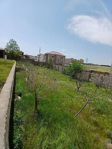 alatavada evler: 8 otaq, 250 kv. m, Kredit var, Təmirsiz — 9