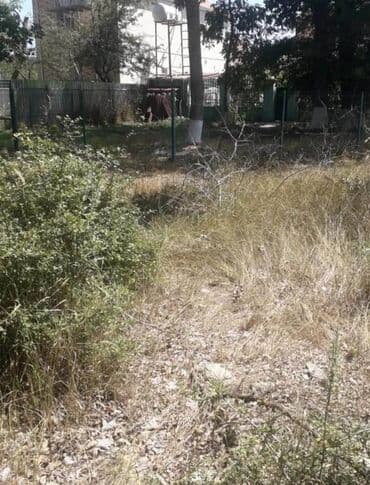 digah torpaq: 25 sot, Kənd təsərrüfatı, Makler, Kupça (Çıxarış) — 7