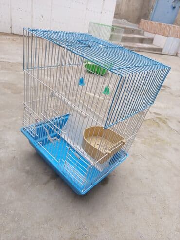 danişan quş: Quş qəfəsləri – müxtəlif rəng və komplektasiyalarda Məhsul təsviri: - — 2