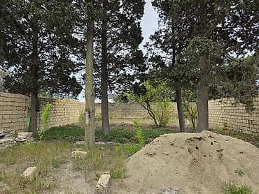 2 sot, Tikinti, Mülkiyyətçi, Kupça (Çıxarış) — 5