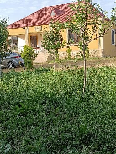 buzovnada kiraye evler 2026: Bağ yerləşir xızıda Xələnc kəndində düz meshanin yanında — 1