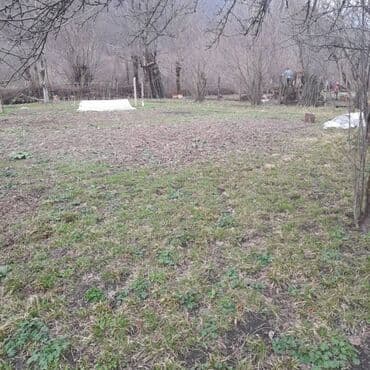 imişlidə torpaq satılır: 8 sot, Biznes üçün, Bələdiyyə — 13