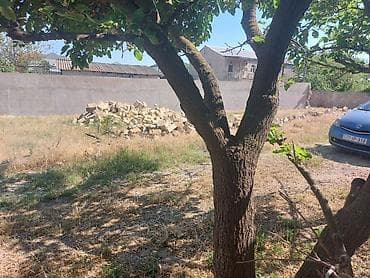 su bacok: Tikinti, Mülkiyyətçi, Kupça (Çıxarış) — 9