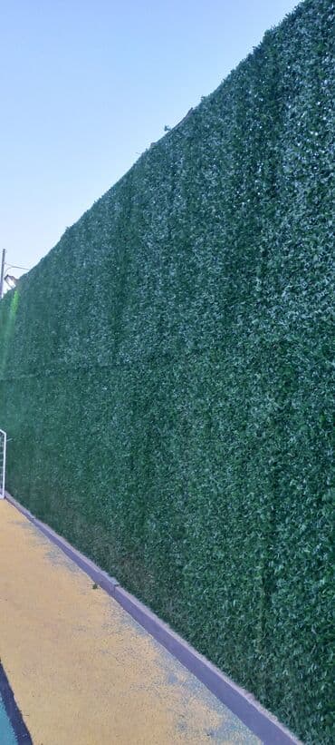 настольный теннис: Теннисные столы — 5