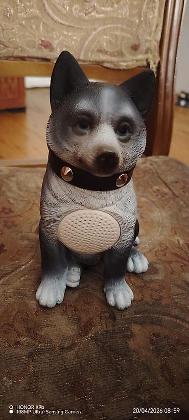 mp 3 player: It itliyi ilə işlənmiş it fiqurlu portativ musiqi dinlədicisi/kolonka — 4