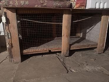 hinduşka balaları: Taxta karkaslı torlu heyvan qəfəsi toyuq-cücə, dovşan, hind toyuğu — 3